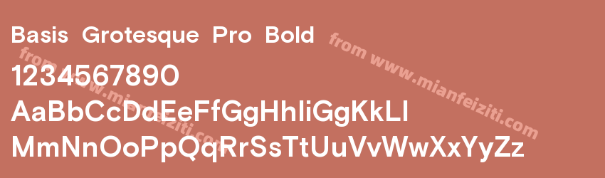 Basis Grotesque Pro Bold预览图1