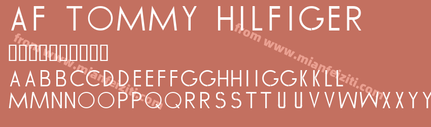 AF TOMMY HILFIGER预览图1