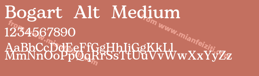 Bogart Alt Medium预览图1