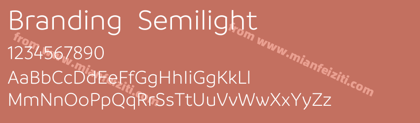Branding Semilight预览图1