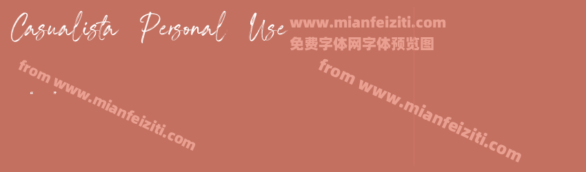 Casualista Personal Use预览图1