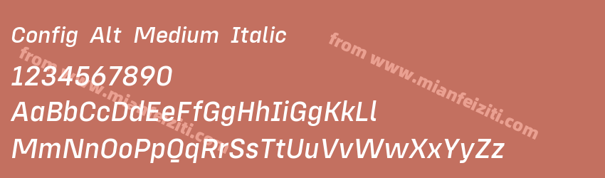 Config Alt Medium Italic预览图1