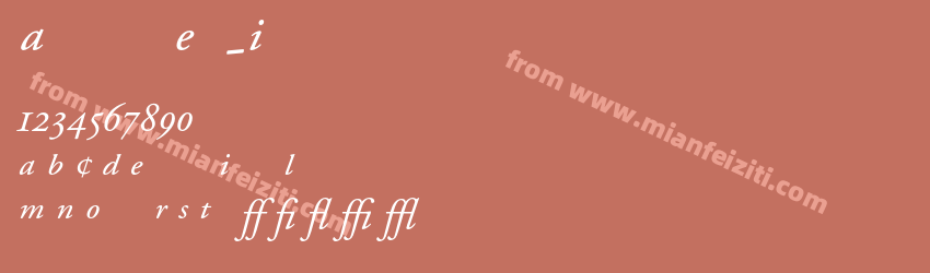 A Garamond Exp Italic预览图1