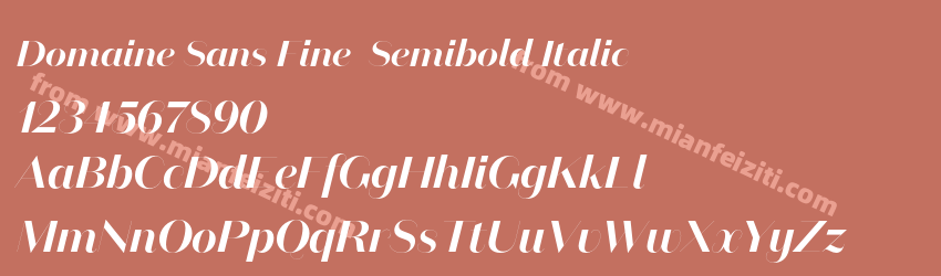 Domaine Sans Fine Semibold Italic预览图1