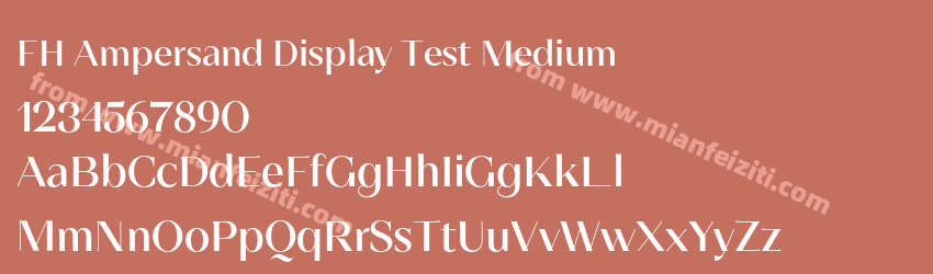 FH Ampersand Display Test Medium预览图1