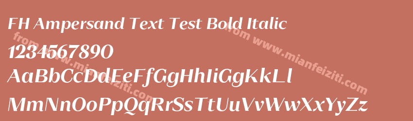 FH Ampersand Text Test Bold Italic预览图1