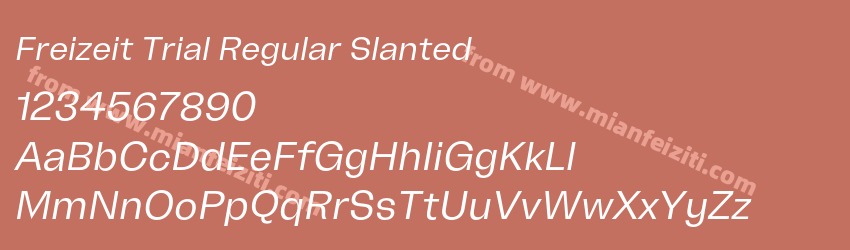 Freizeit Trial Regular Slanted预览图1
