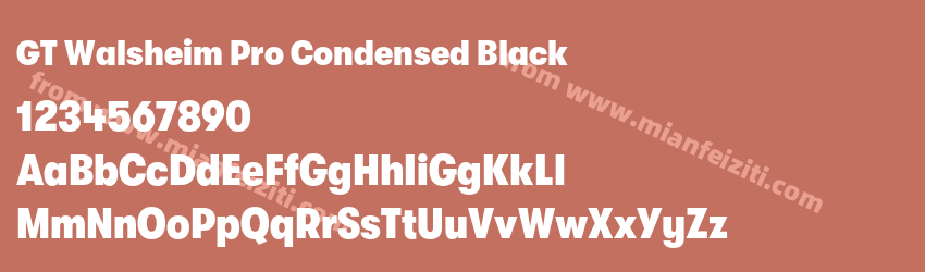 GT Walsheim Pro Condensed Black预览图1