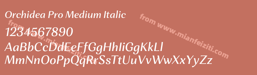 Orchidea Pro Medium Italic预览图1