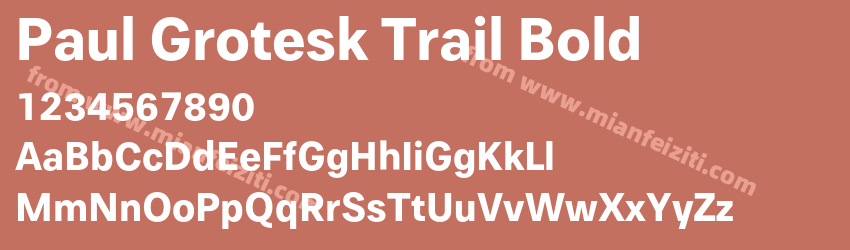 Paul Grotesk Trail Bold预览图1