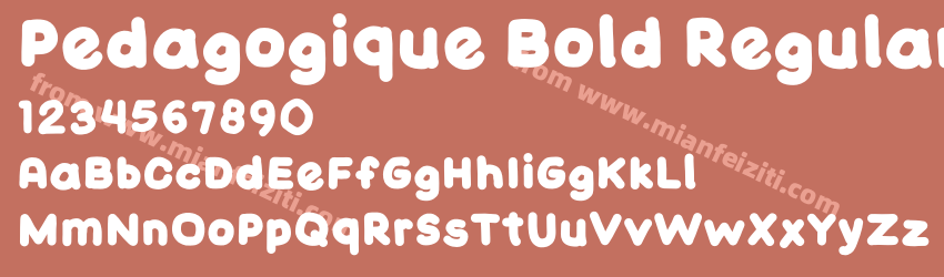 Pedagogique Bold Regular预览图1