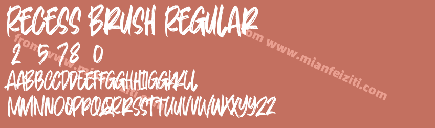 Recess Brush Regular预览图1