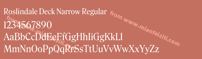 Roslindale Deck Narrow Regular预览图1