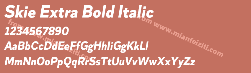 Skie Extra Bold Italic预览图1