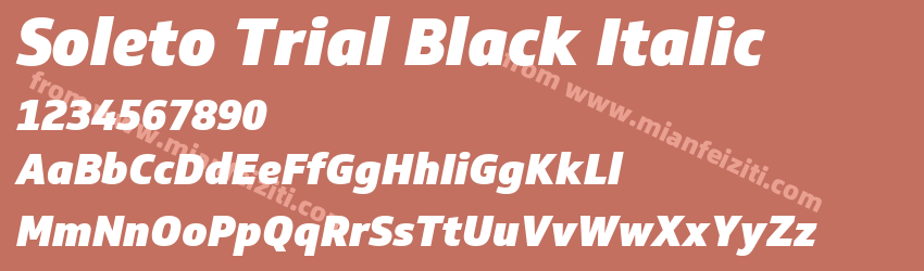 Soleto Trial Black Italic预览图1