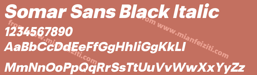 Somar Sans Black Italic预览图1