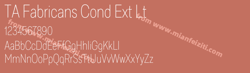 TA Fabricans Cond Ext Lt预览图1