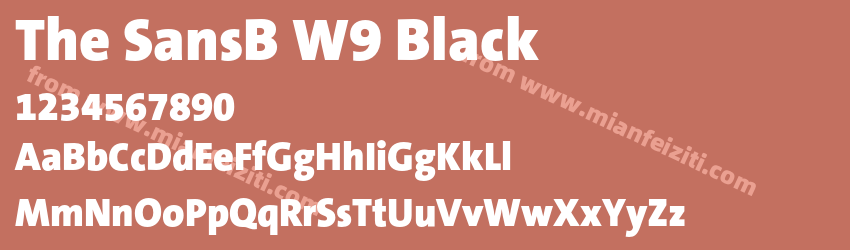 The SansB W9 Black预览图1