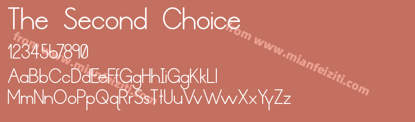 The Second Choice预览图1