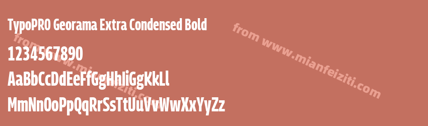 TypoPRO Georama Extra Condensed Bold预览图1