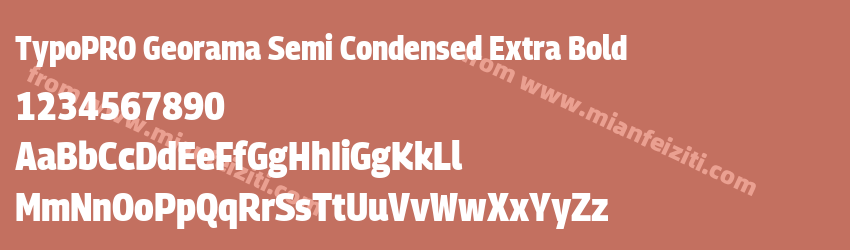 TypoPRO Georama Semi Condensed Extra Bold预览图1
