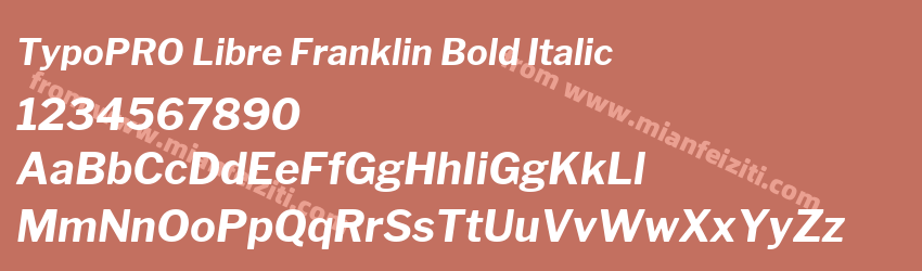 TypoPRO Libre Franklin Bold Italic预览图1