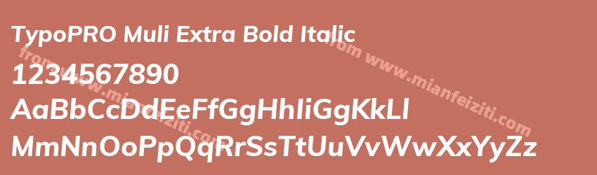 TypoPRO Muli Extra Bold Italic预览图1