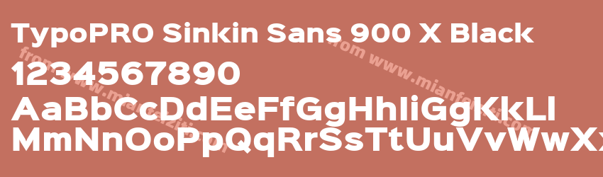 TypoPRO Sinkin Sans 900 X Black预览图1