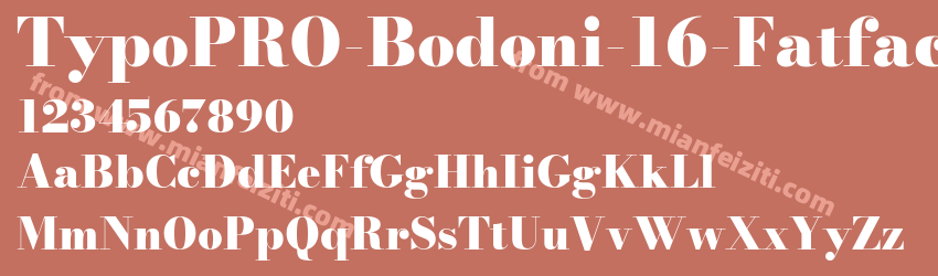 TypoPRO Bodoni* 16 Fatface预览图1