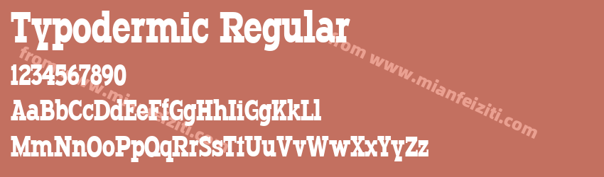 Typodermic Regular预览图1