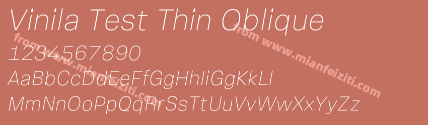 Vinila Test Thin Oblique预览图1
