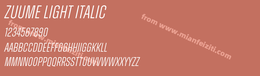 Zuume Light Italic预览图1