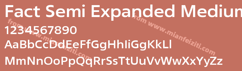 Fact Semi Expanded Medium预览图1
