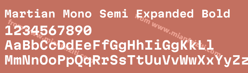 Martian Mono Semi Expanded Bold预览图1