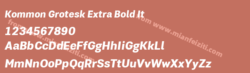 Kommon Grotesk Extra Bold It预览图1