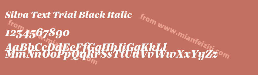 Silva Text Trial Black Italic预览图1