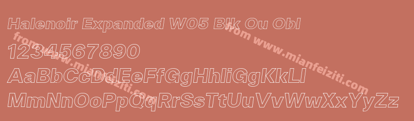 Halenoir Expanded W05 Blk Ou Obl预览图1