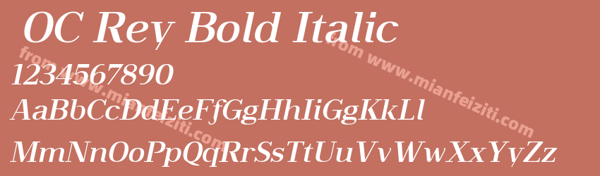  OC Rey Bold Italic预览图1