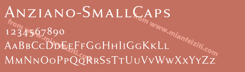 Anziano Small Caps预览图1