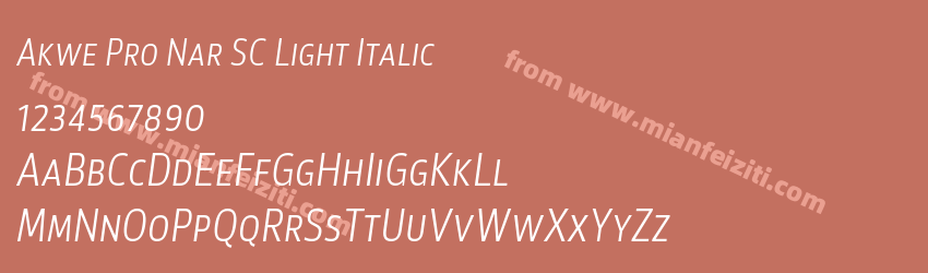 Akwe Pro Nar SC Light Italic预览图1