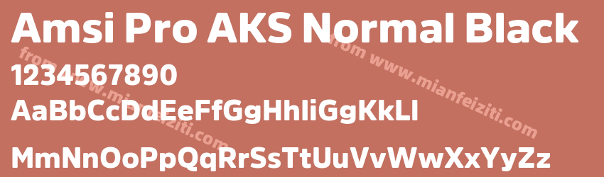 Amsi Pro AKS Normal Black预览图1