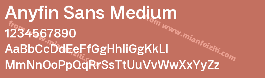 Anyfin Sans Medium预览图1