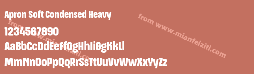 Apron Soft Condensed Heavy预览图1