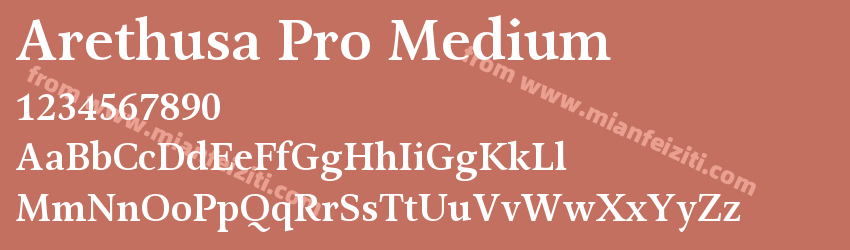 Arethusa Pro Medium预览图1