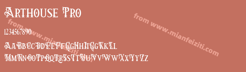Arthouse Pro预览图1