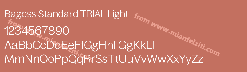 Bagoss Standard TRIAL Light预览图1