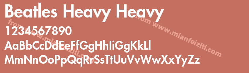 Beatles Heavy Heavy预览图1