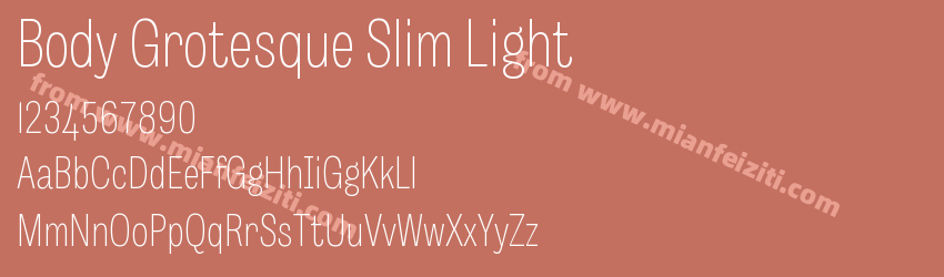 Body Grotesque Slim Light预览图1