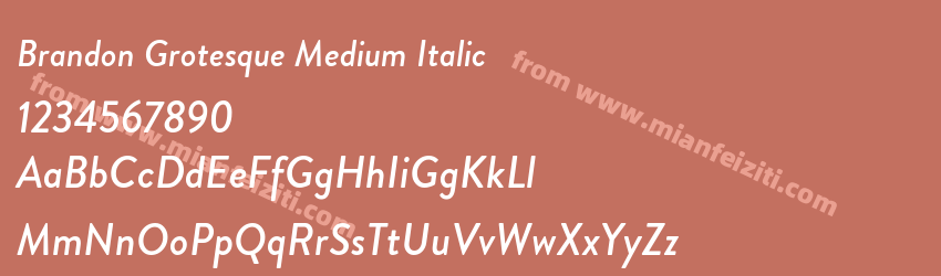 Brandon Grotesque Medium Italic预览图1
