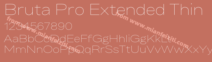 Bruta Pro Extended Thin预览图1